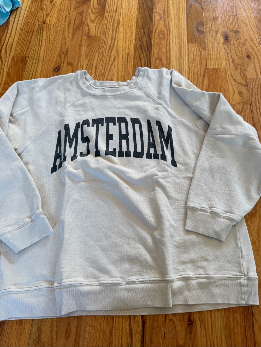 Free people Amsterdam Graphic Crewneck Sweater - Medium